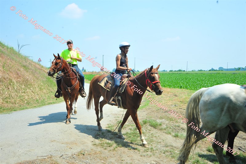 DSC_1072.JPG